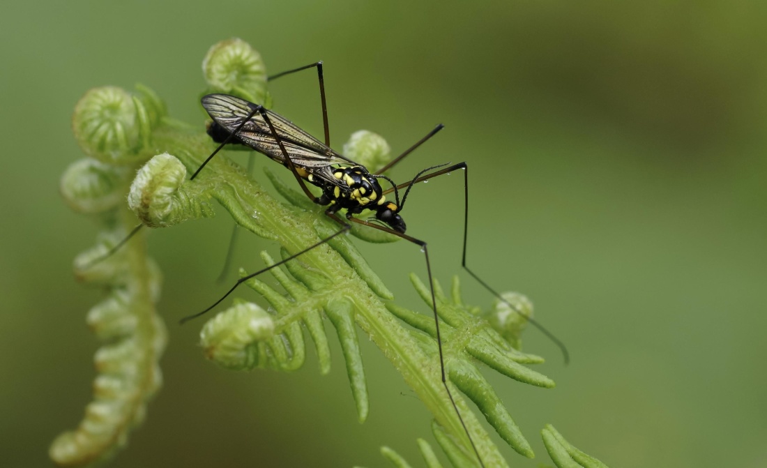 Sprawdzian z biologii klasa 5 – Puls życia – Lubię Quizy – Najlepsze