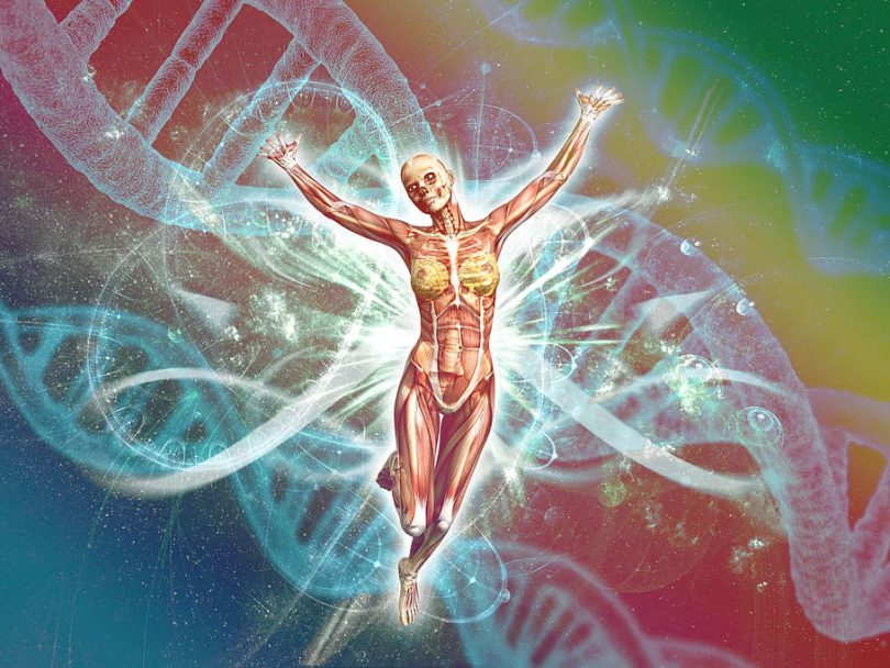 Sprawdzian Z Biologii Klasa 7 Dział 6 Wsip - Biologia klasa 7 Puls życia – sprawdzian – Lubię Quizy – Najlepsze